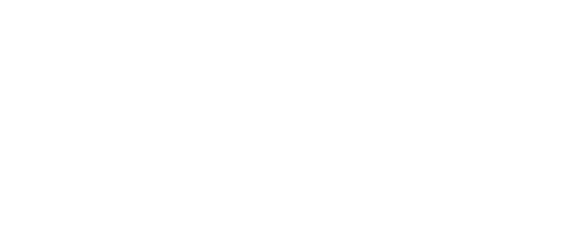 Sousa Fusters - Logo